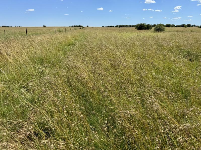 0 Bedroom Property for Sale in Bothaville Free State